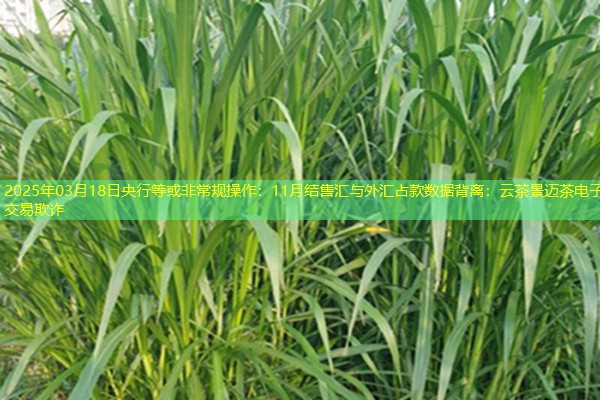 2025年03月18日央行等或非常规操作：11月结售汇与外汇占款数据背离