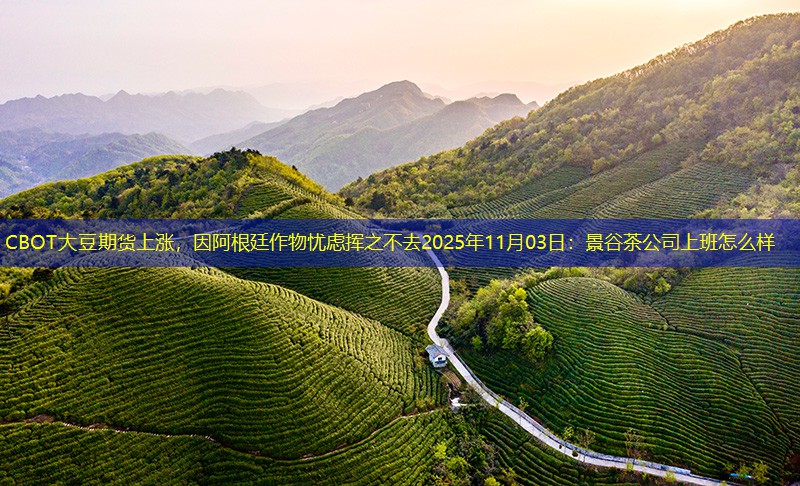 CBOT大豆期货上涨，因阿根廷作物忧虑挥之不去2025年11月03日：景谷茶公司上班怎么样