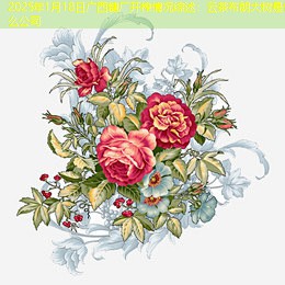 2025年1月18日广西糖厂开榨情况综述：云茶布朗大树是什么公司