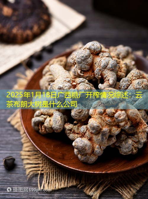 2025年1月18日广西糖厂开榨情况综述