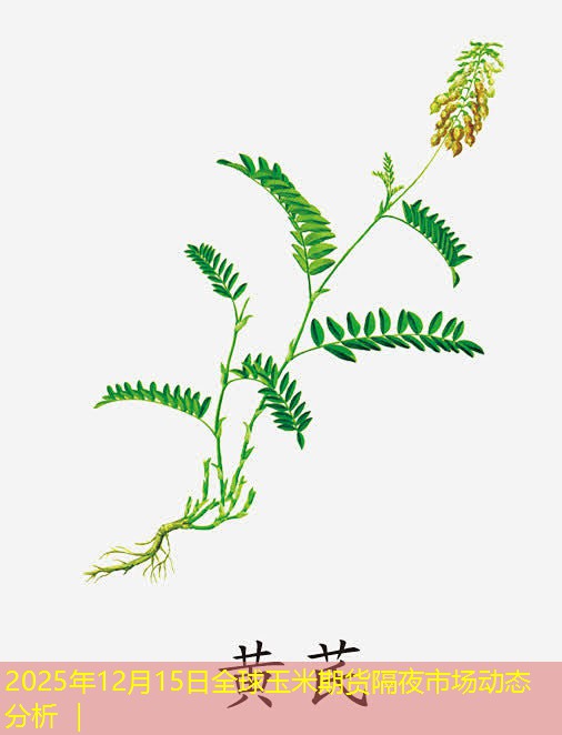 2025年12月15日全球玉米期货隔夜市场动态分析 ｜