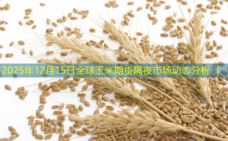 2025年12月15日全球玉米期货隔夜市场动态分析 ｜