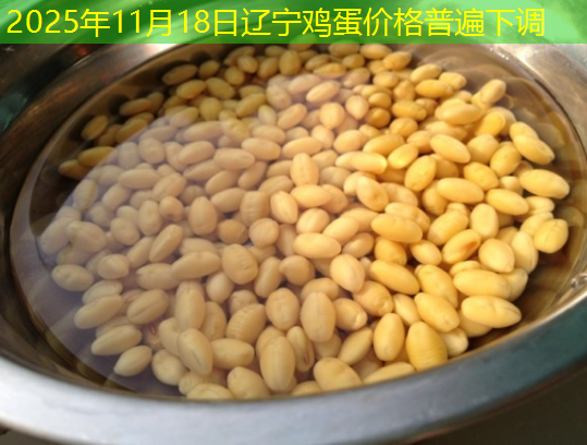 2025年11月18日辽宁鸡蛋价格普遍下调