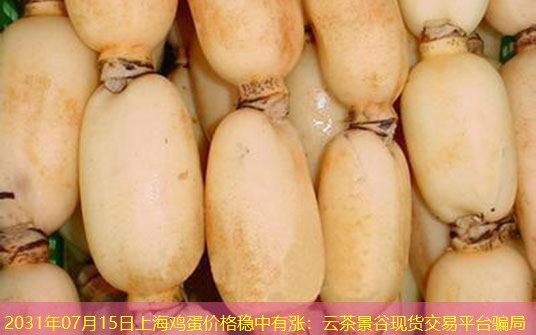 2031年07月15日上海鸡蛋价格稳中有涨：云茶景谷现货交易平台骗局