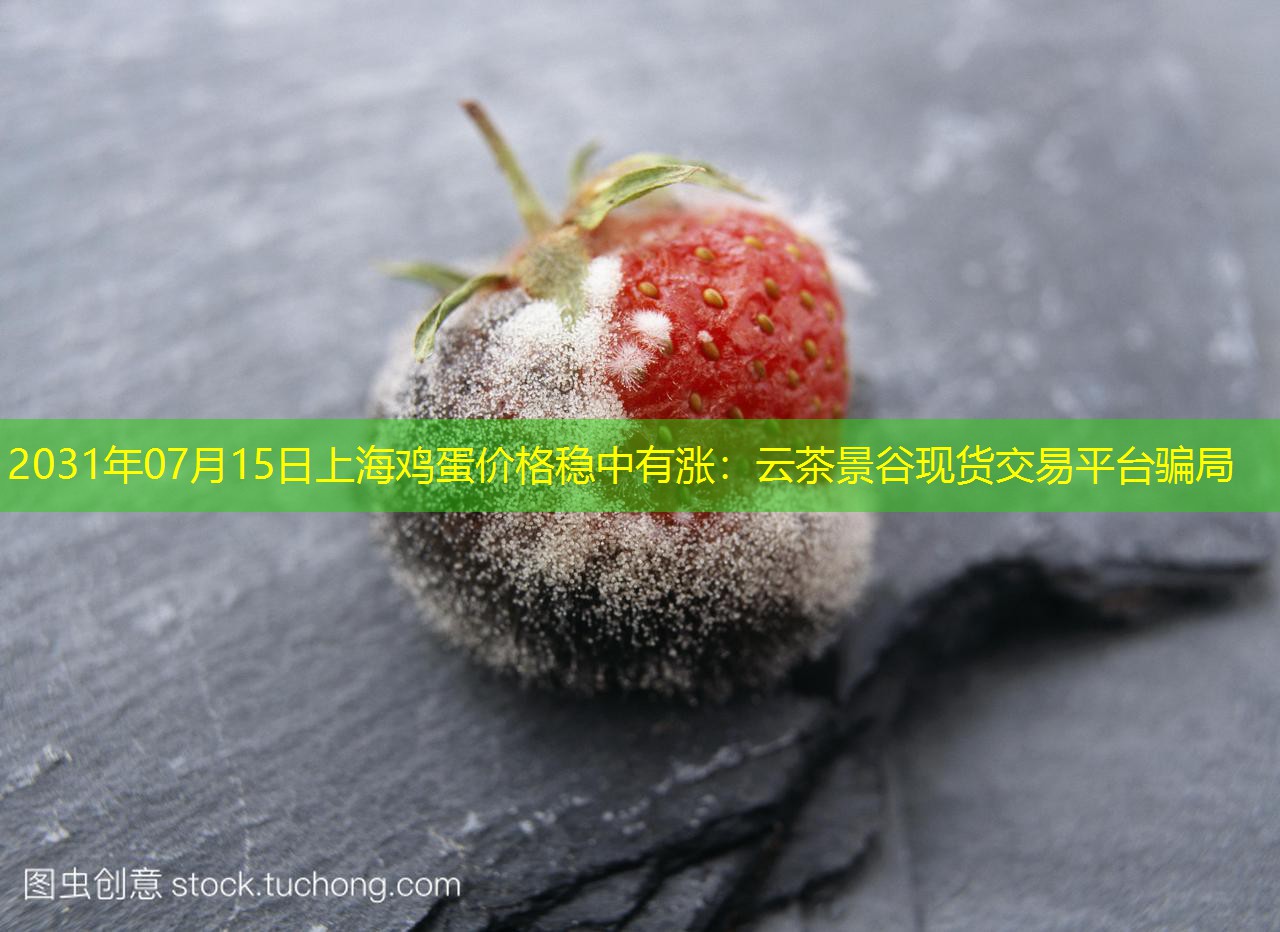 2031年07月15日上海鸡蛋价格稳中有涨