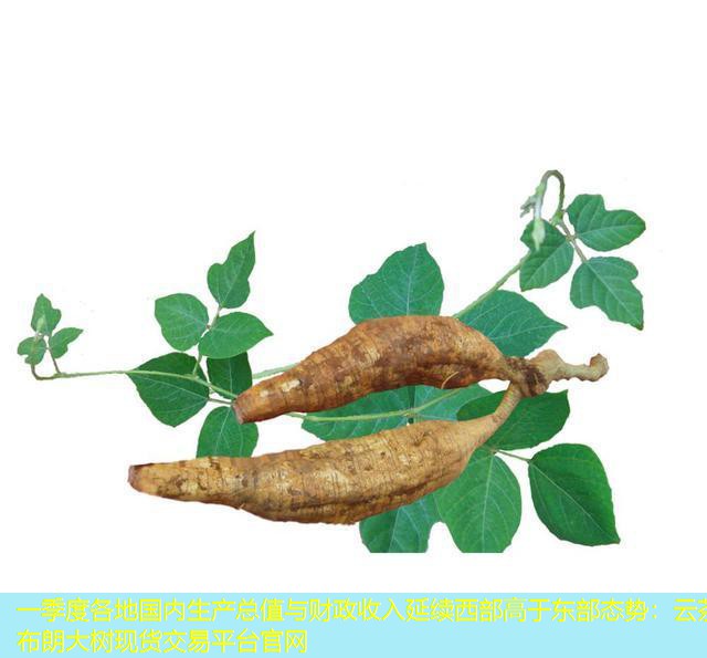 一季度各地国内生产总值与财政收入延续西部高于东部态势：云茶布朗大树现货交易平台官网