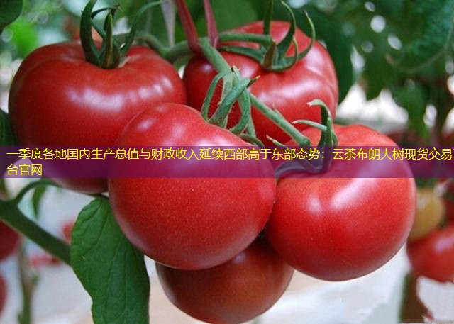 一季度各地国内生产总值与财政收入延续西部高于东部态势