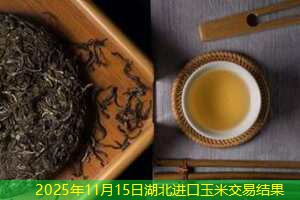 2025年11月15日湖北进口玉米交易结果