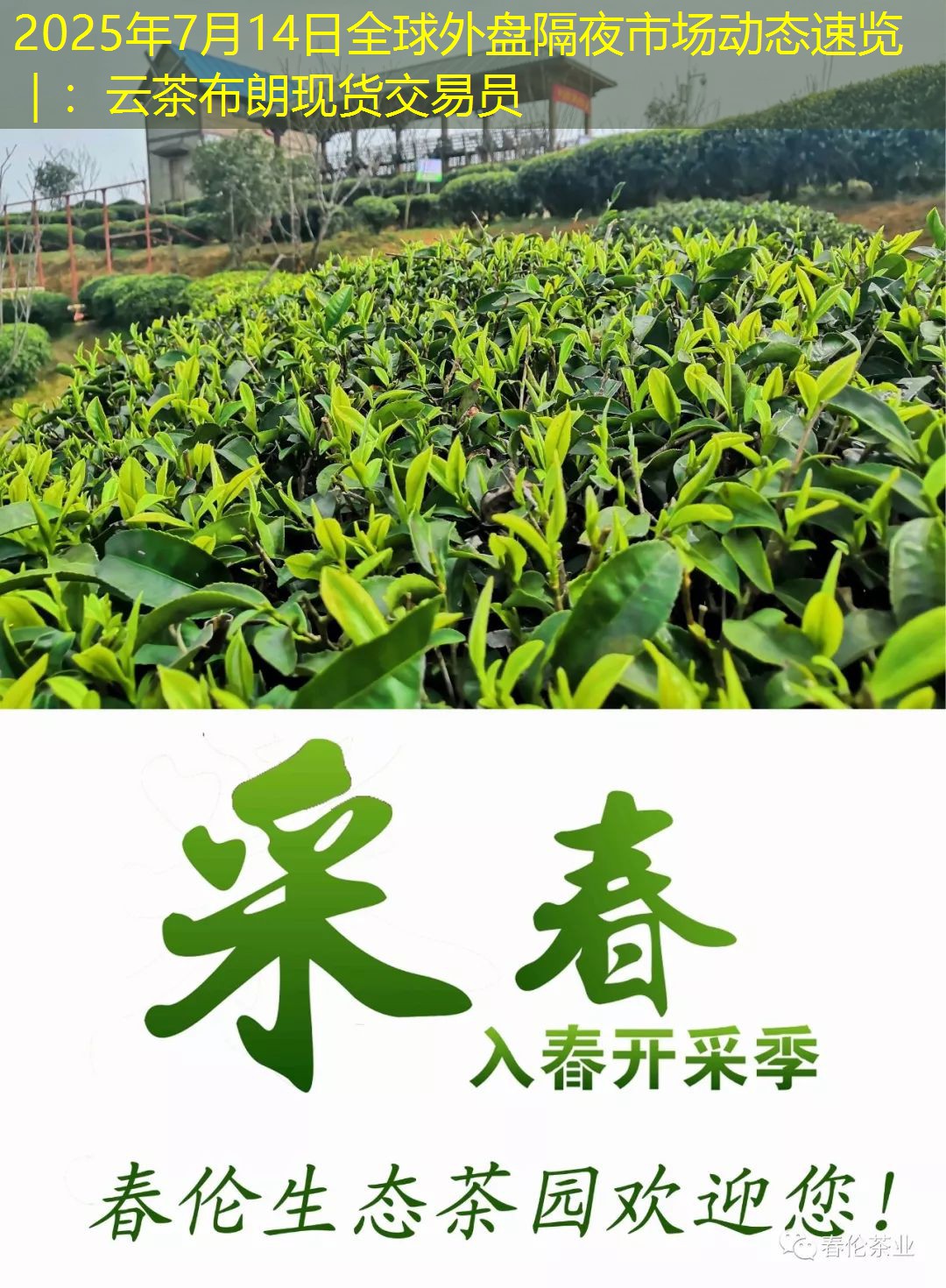 2025年7月14日全球外盘隔夜市场动态速览 ｜：云茶布朗现货交易员