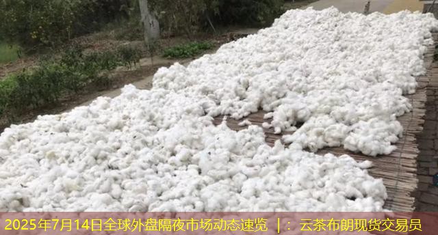 2025年7月14日全球外盘隔夜市场动态速览 ｜