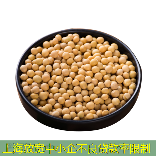 上海放宽中小企不良贷款率限制