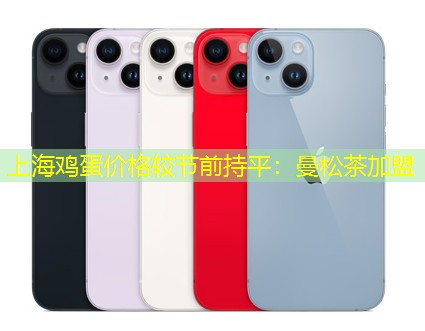 上海鸡蛋价格较节前持平