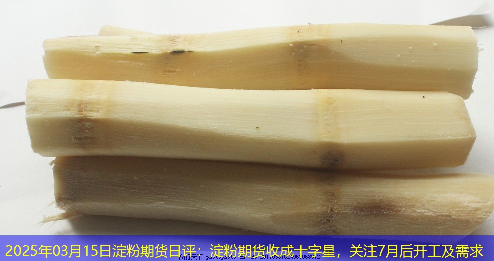 2025年03月15日淀粉期货日评：淀粉期货收成十字星，关注7月后开工及需求