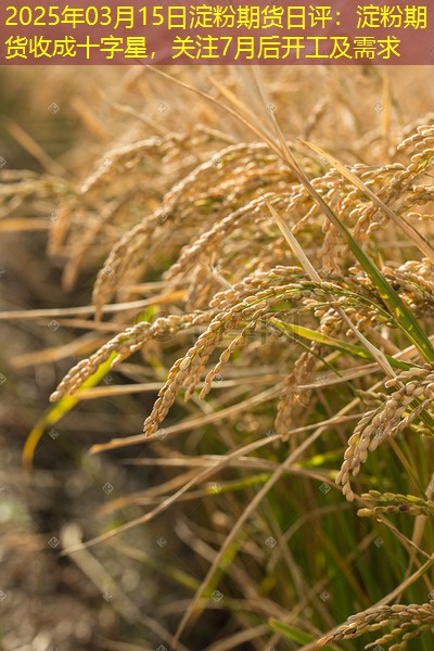 2025年03月15日淀粉期货日评：淀粉期货收成十字星，关注7月后开工及需求