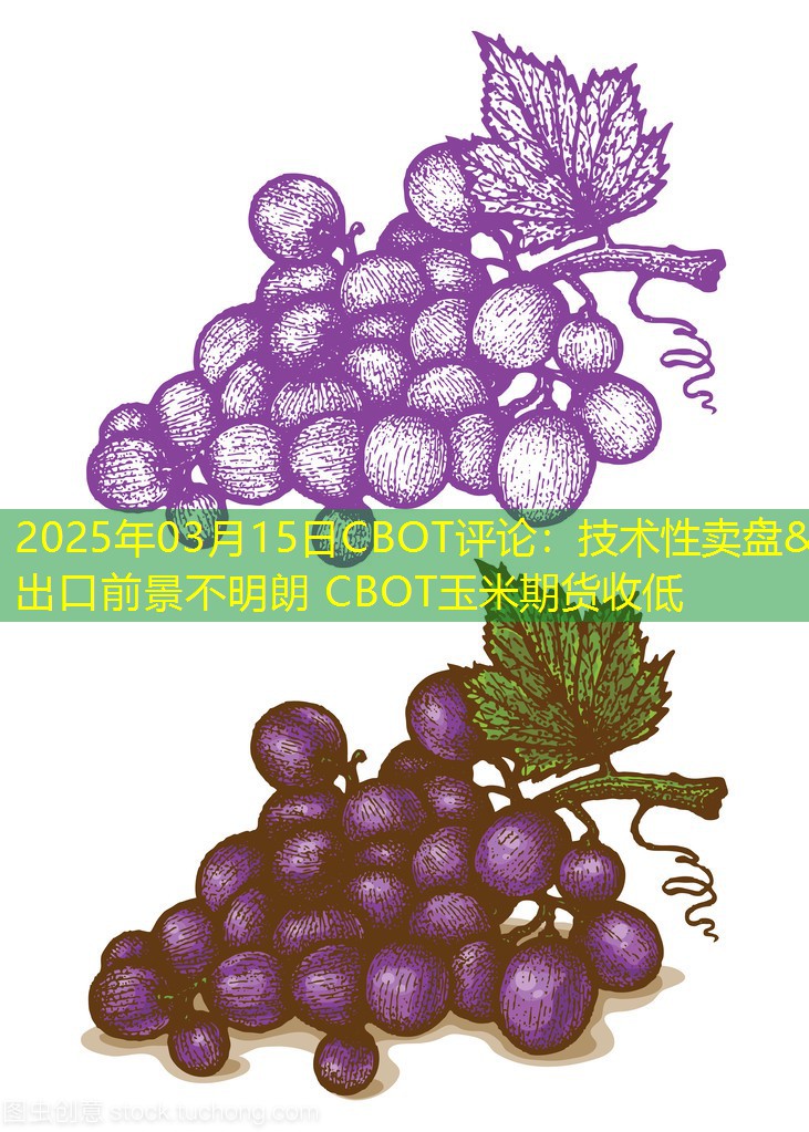 2025年03月15日CBOT评论：技术性卖盘&出口前景不明朗 CBOT玉米期货收低