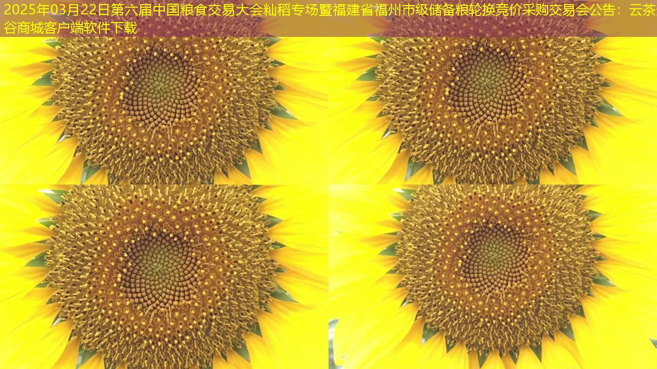 2025年03月22日第六届中国粮食交易大会籼稻专场暨福建省福州市级储备粮轮换竞价采购交易会公告：云茶景谷商城客户端软件下载