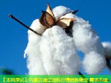 【本网原创】内蒙古通辽淀粉行情弱势稳定 需求不佳