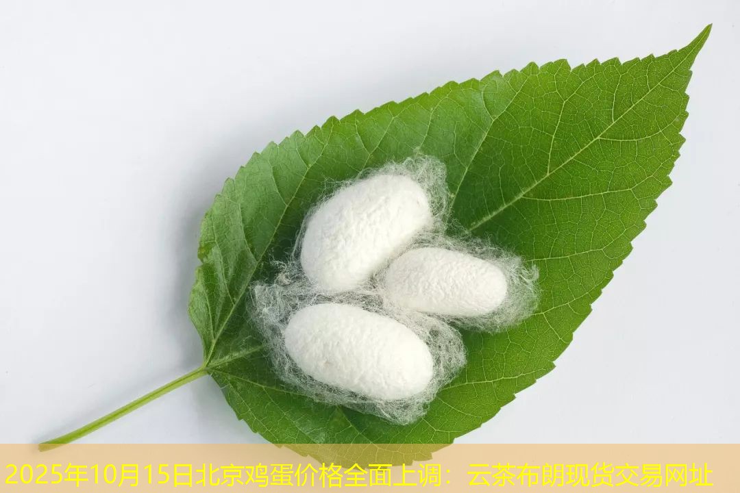 2025年10月15日北京鸡蛋价格全面上调：云茶布朗现货交易网址