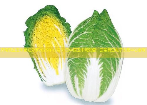 济南现金玉米留红分享2025年12月31日中国玉米网张蕾