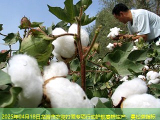 2025年04月18日龙岩市农资打假专项行动护航春耕生产：曼松茶指标