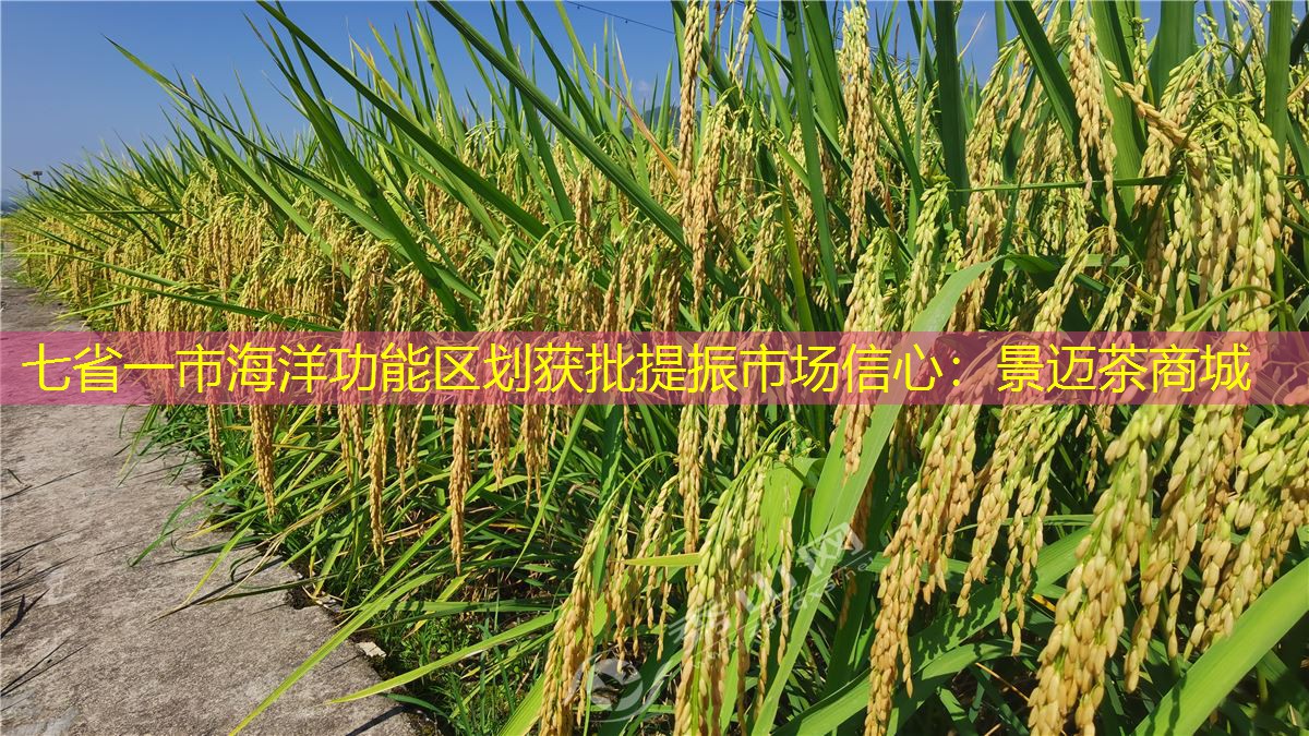 七省一市海洋功能区划获批提振市场信心