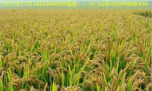 2025年11月18日早间经济观察：：天门山茶可信吗值得买吗