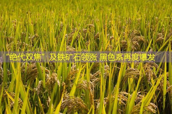 “绝代双焦”及铁矿石领涨 黑色系再度爆发