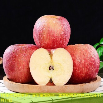 10年后豆粕早评：多头离场获利，美豆粕隔夜收跌2025年11月14日